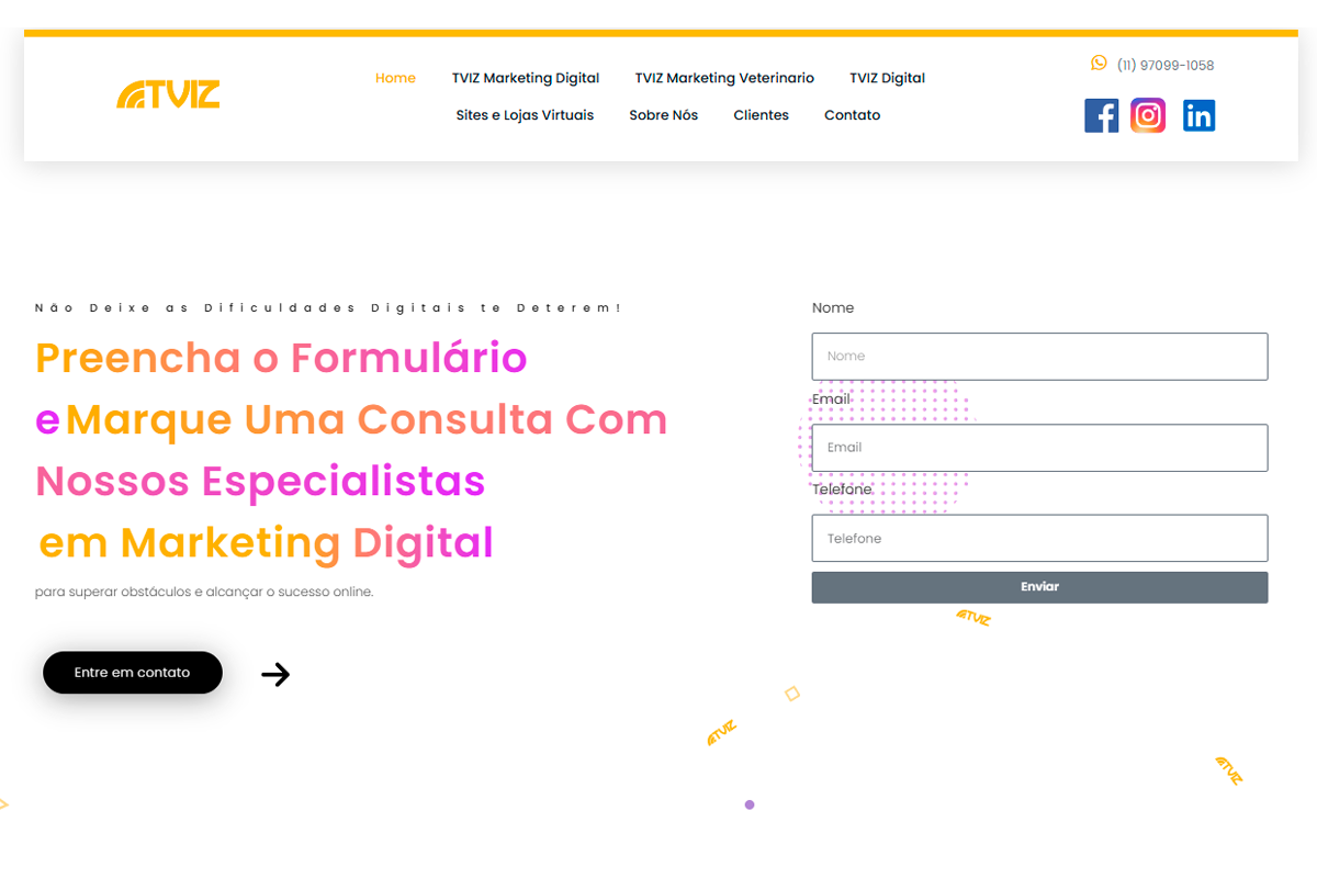 TVIZ - Site de Marketing Digital